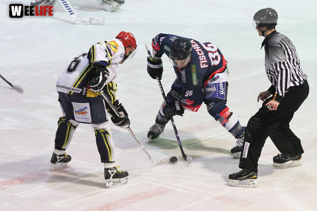 Selber Wölfe - Schweinfurt Mighty Dogs