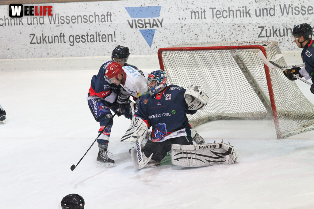 Selber Wölfe - Schweinfurt Mighty Dogs
