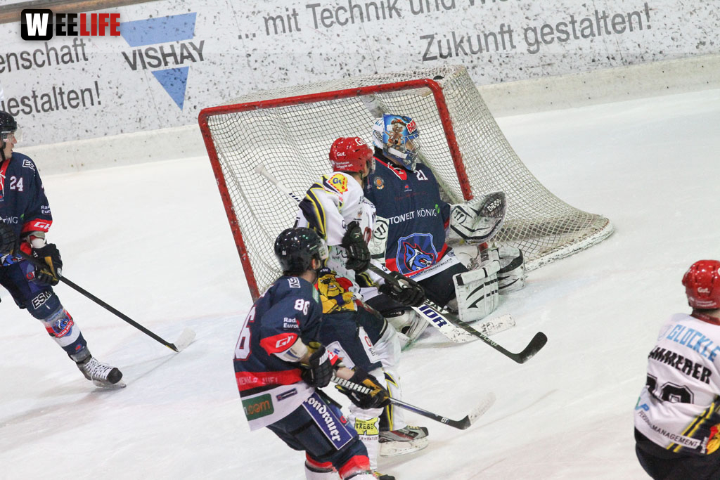 Selber Wölfe - Schweinfurt Mighty Dogs