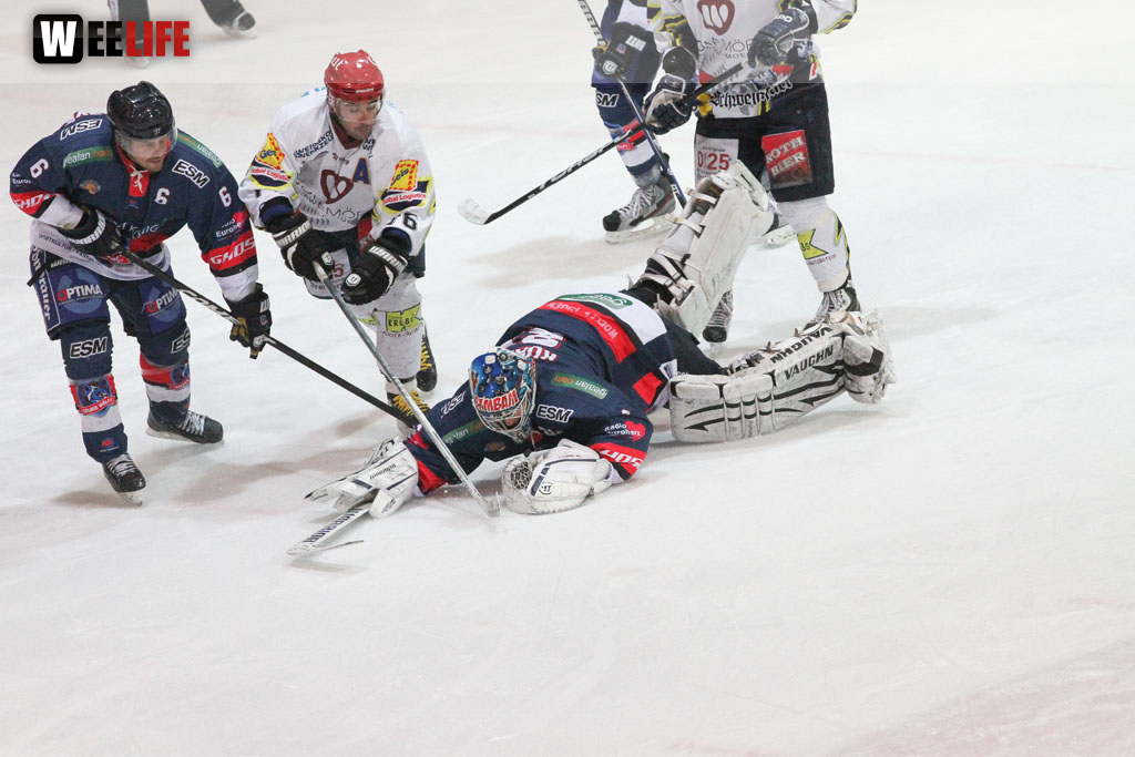 Selber Wölfe - Schweinfurt Mighty Dogs