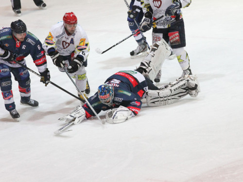 Selber Wölfe - Schweinfurt Mighty Dogs – Foto 40