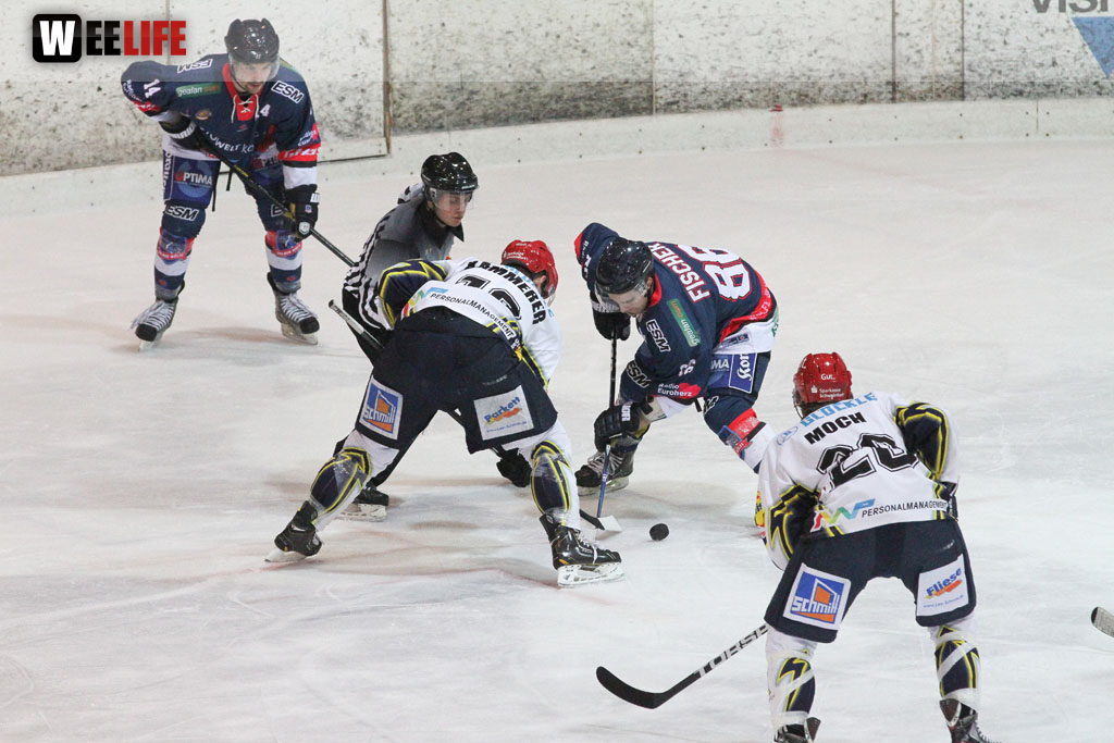 Selber Wölfe - Schweinfurt Mighty Dogs