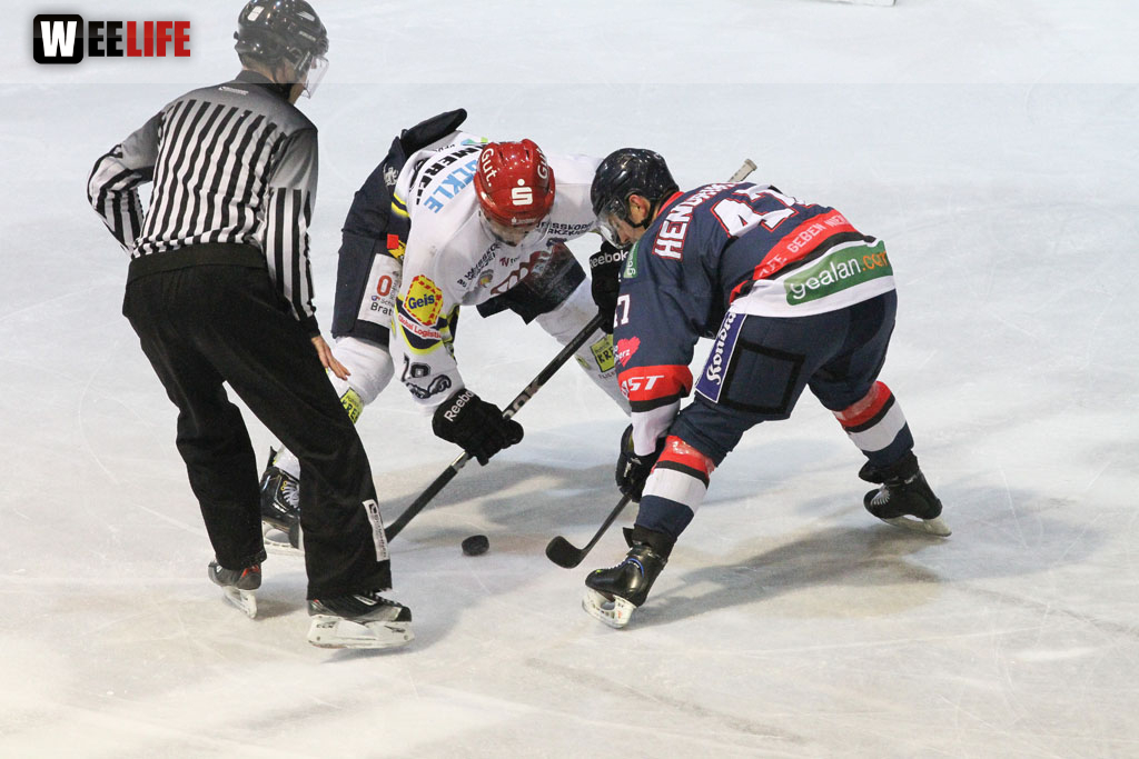 Selber Wölfe - Schweinfurt Mighty Dogs