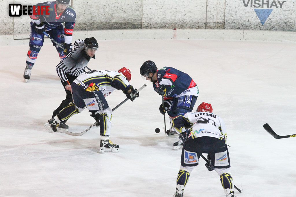 Selber Wölfe - Schweinfurt Mighty Dogs