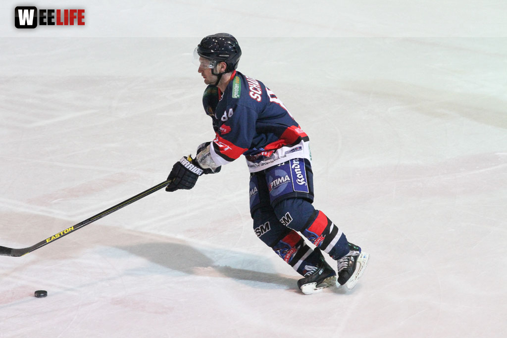 Selber Wölfe - Schweinfurt Mighty Dogs