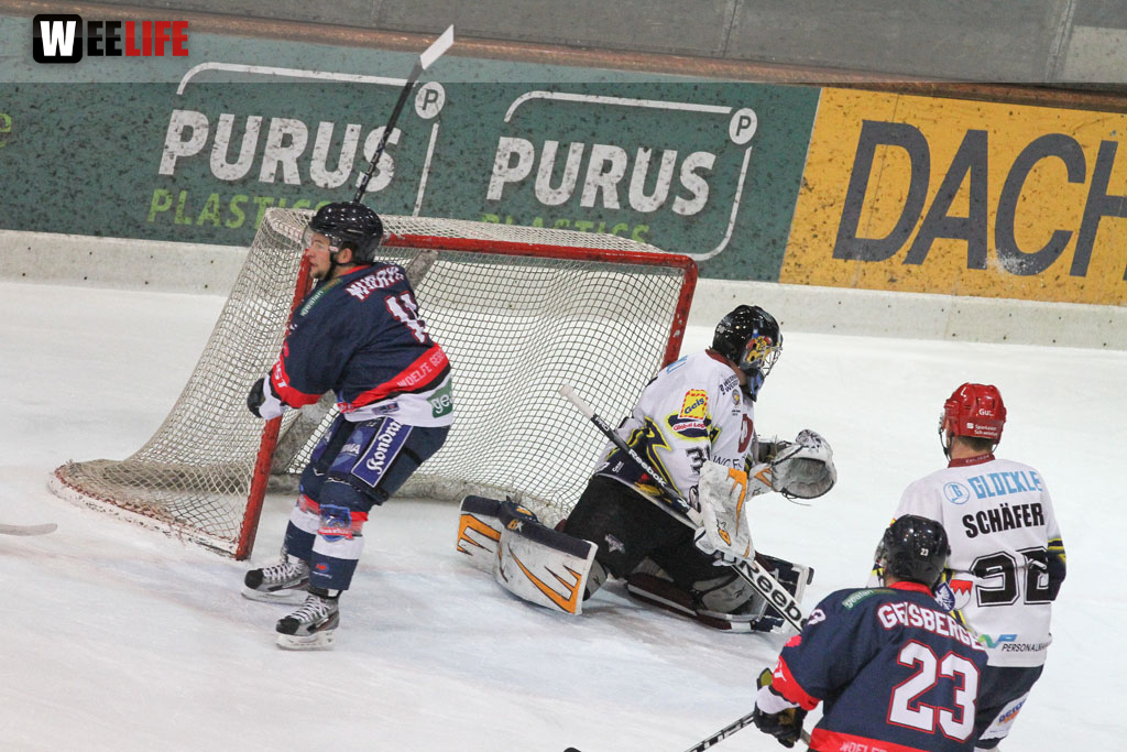 Selber Wölfe - Schweinfurt Mighty Dogs