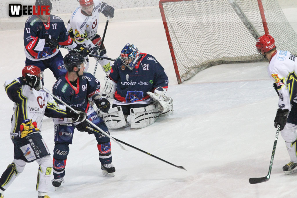 Selber Wölfe - Schweinfurt Mighty Dogs