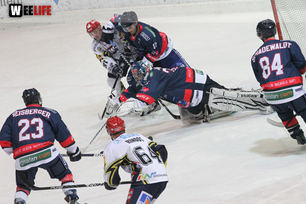 Selber Wölfe - Schweinfurt Mighty Dogs