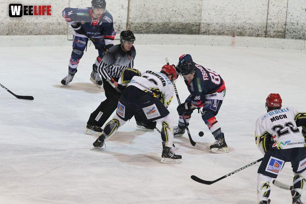 Selber Wölfe - Schweinfurt Mighty Dogs