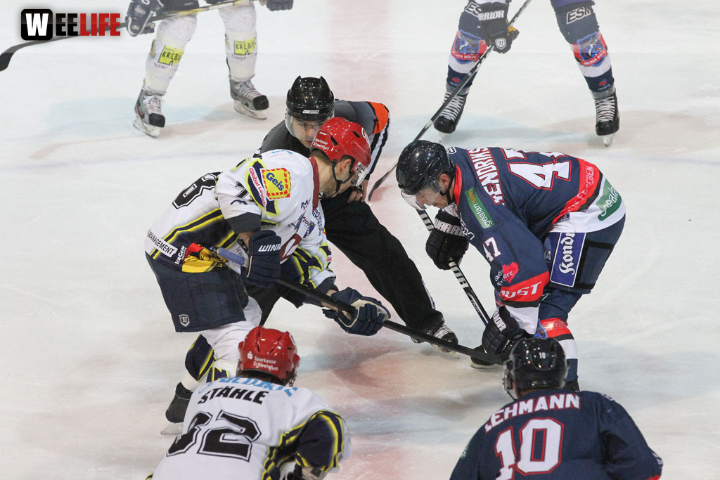 Selber Wölfe - Schweinfurt Mighty Dogs