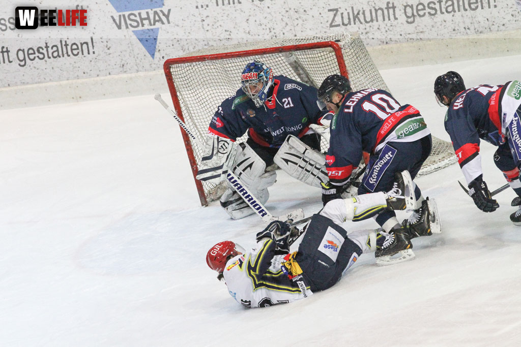 Selber Wölfe - Schweinfurt Mighty Dogs