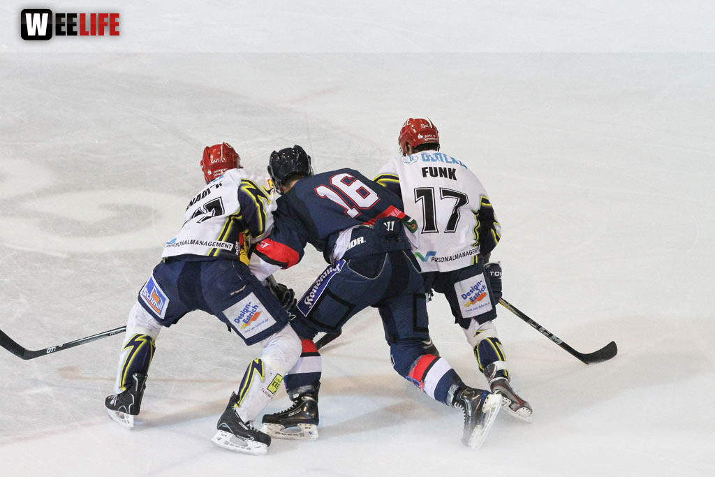 Selber Wölfe - Schweinfurt Mighty Dogs