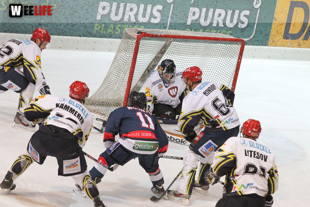 Selber Wölfe - Schweinfurt Mighty Dogs