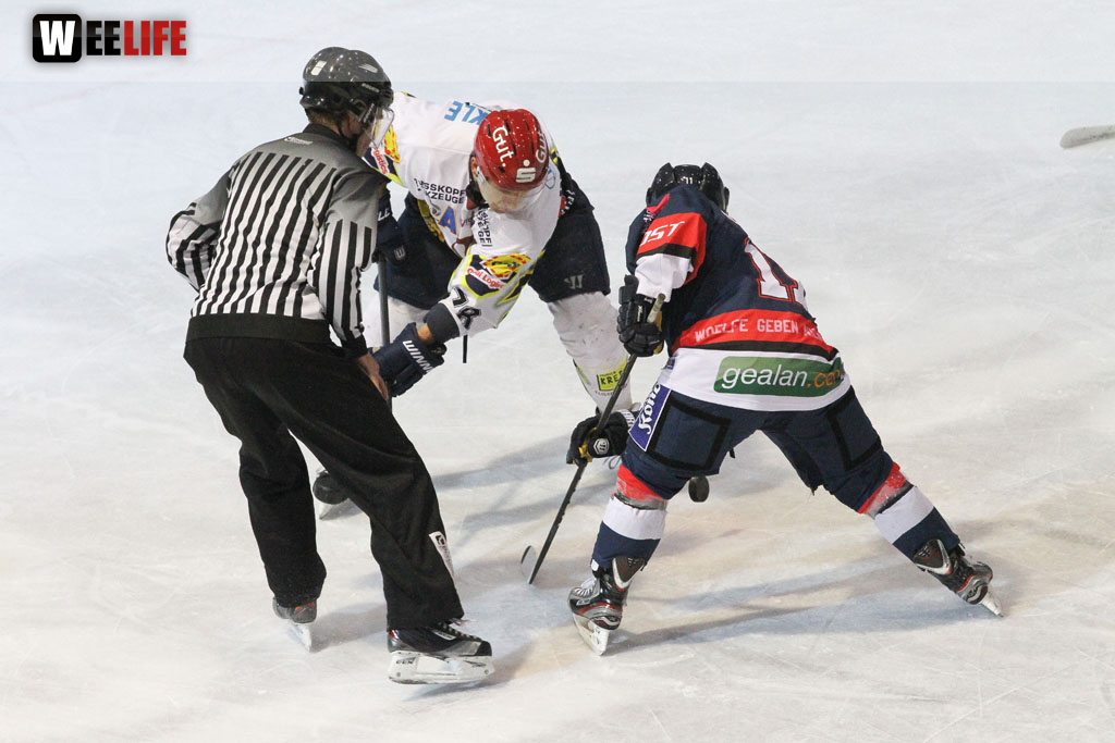 Selber Wölfe - Schweinfurt Mighty Dogs