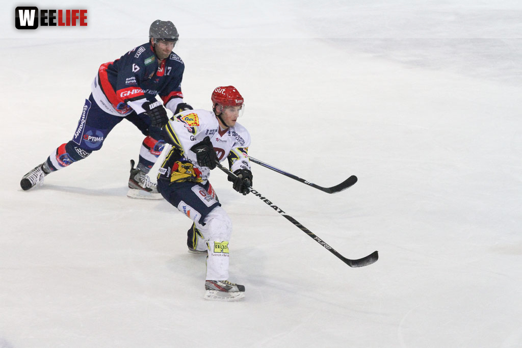 Selber Wölfe - Schweinfurt Mighty Dogs