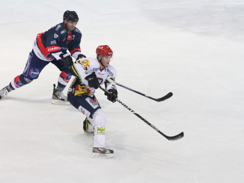 Selber Wölfe - Schweinfurt Mighty Dogs – Foto 70