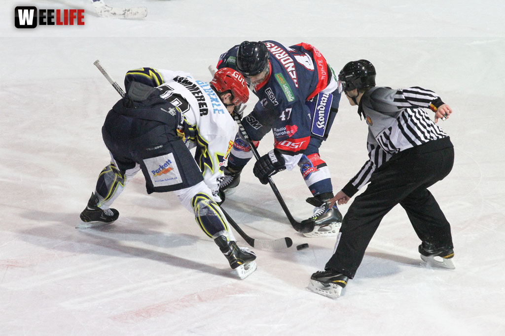 Selber Wölfe - Schweinfurt Mighty Dogs