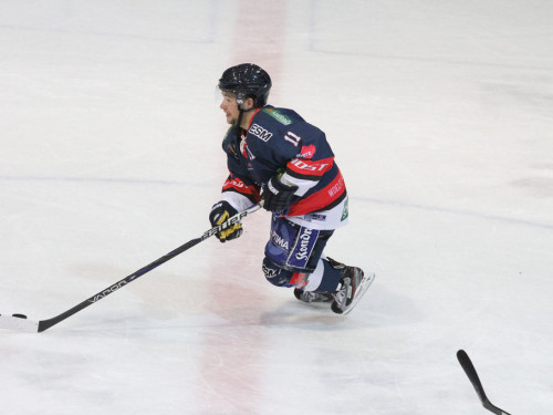 Selber Wölfe - Schweinfurt Mighty Dogs – Foto 76