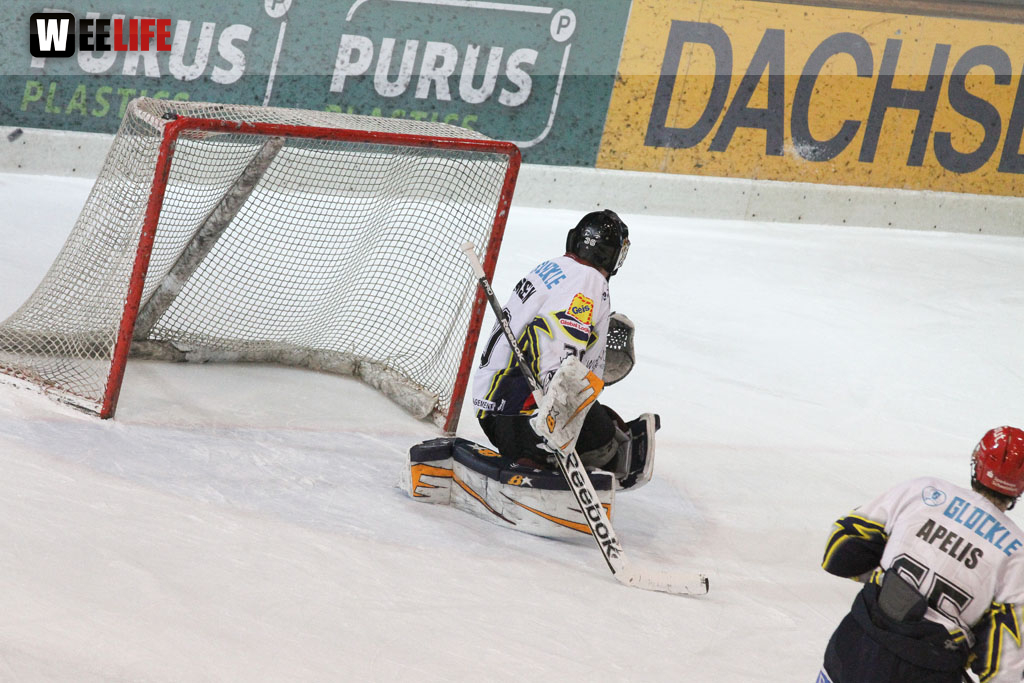 Selber Wölfe - Schweinfurt Mighty Dogs