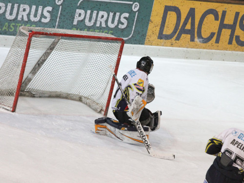 Selber Wölfe - Schweinfurt Mighty Dogs – Foto 77