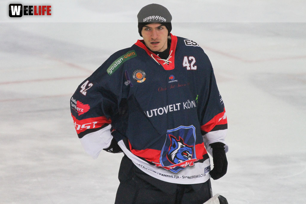 Selber Wölfe - Schweinfurt Mighty Dogs
