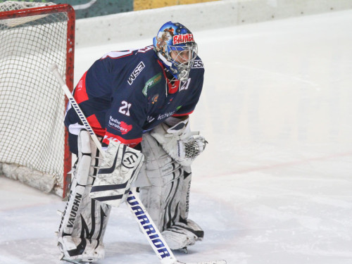 Selber Wölfe - Schweinfurt Mighty Dogs – Foto 154