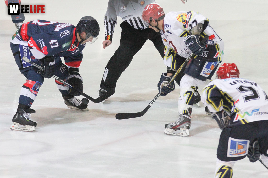 Selber Wölfe - Schweinfurt Mighty Dogs