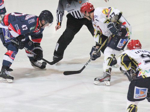 Selber Wölfe - Schweinfurt Mighty Dogs – Foto 157