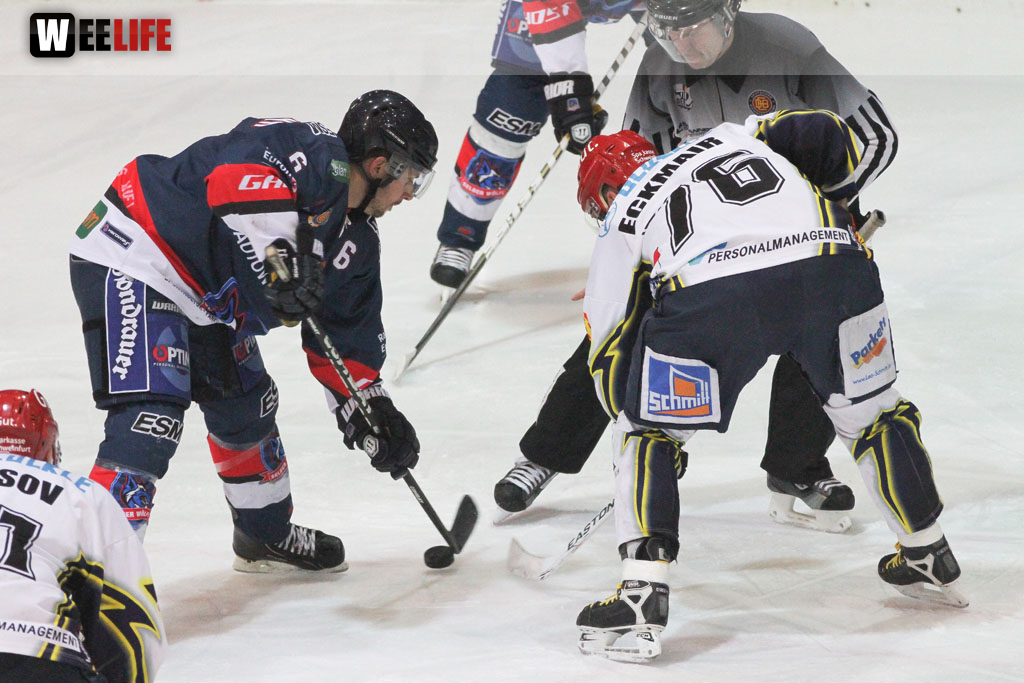 Selber Wölfe - Schweinfurt Mighty Dogs