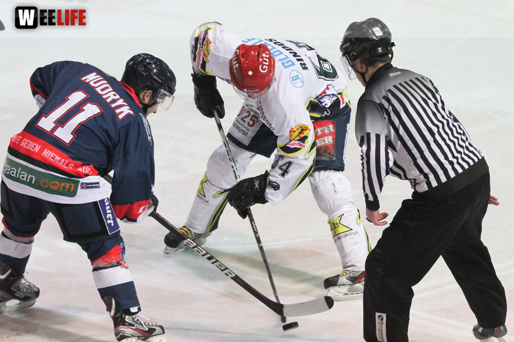 Selber Wölfe - Schweinfurt Mighty Dogs
