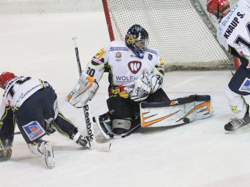 Selber Wölfe - Schweinfurt Mighty Dogs – Foto 173