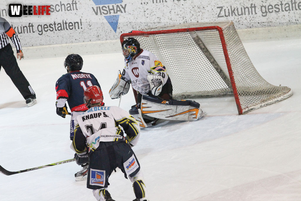 Selber Wölfe - Schweinfurt Mighty Dogs