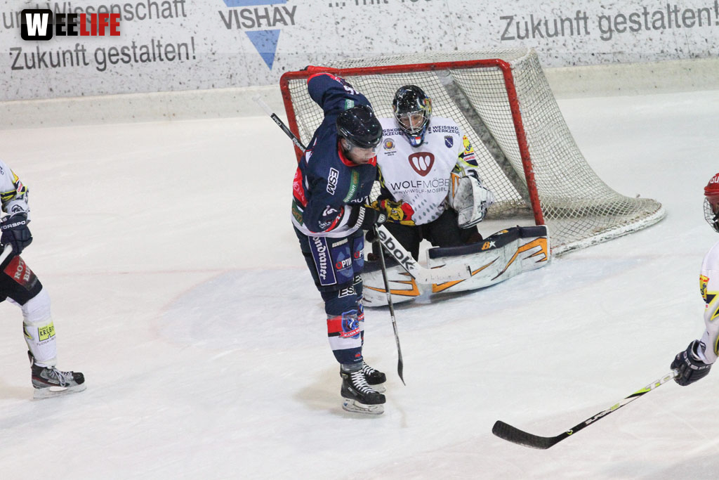 Selber Wölfe - Schweinfurt Mighty Dogs