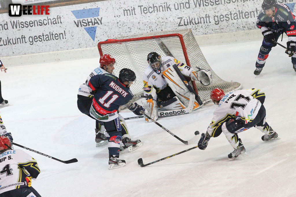 Selber Wölfe - Schweinfurt Mighty Dogs