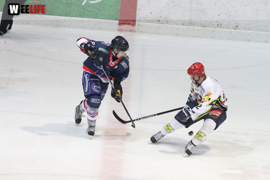 Selber Wölfe - Schweinfurt Mighty Dogs