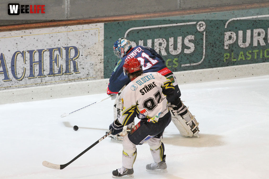 Selber Wölfe - Schweinfurt Mighty Dogs