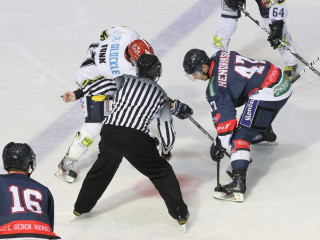 Foto 45832 im Album