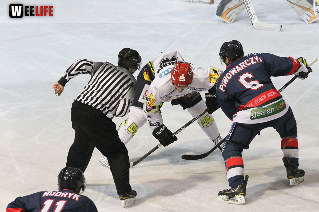 Selber Wölfe - Schweinfurt Mighty Dogs