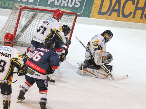 Selber Wölfe - Schweinfurt Mighty Dogs – Foto 254