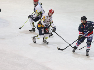 Foto 45851 im Album