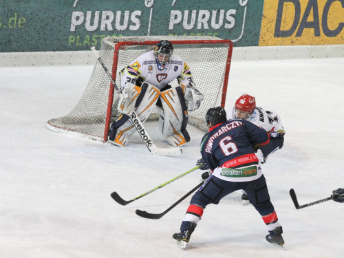 Selber Wölfe - Schweinfurt Mighty Dogs – Foto 259