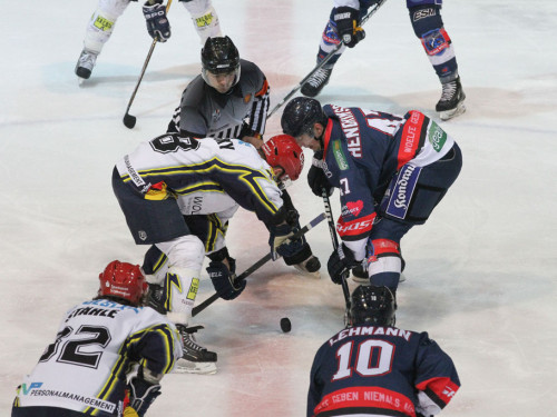 Selber Wölfe - Schweinfurt Mighty Dogs – Foto 264