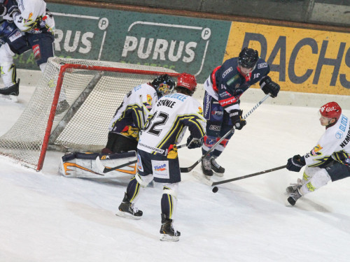 Selber Wölfe - Schweinfurt Mighty Dogs – Foto 265