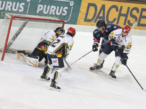 Selber Wölfe - Schweinfurt Mighty Dogs – Foto 266