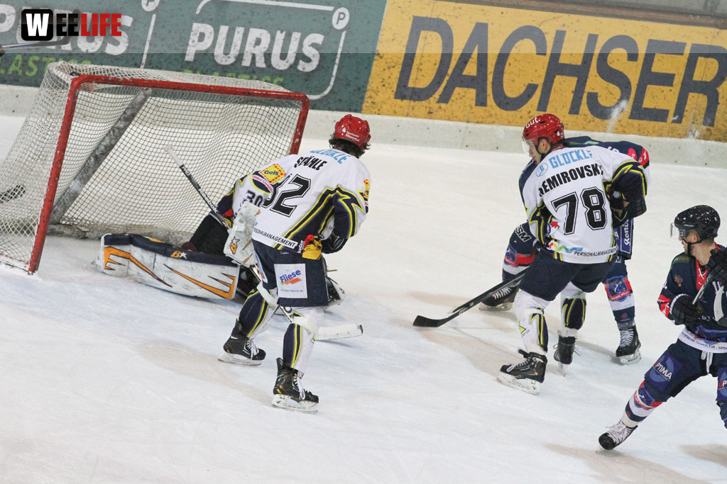 Selber Wölfe - Schweinfurt Mighty Dogs