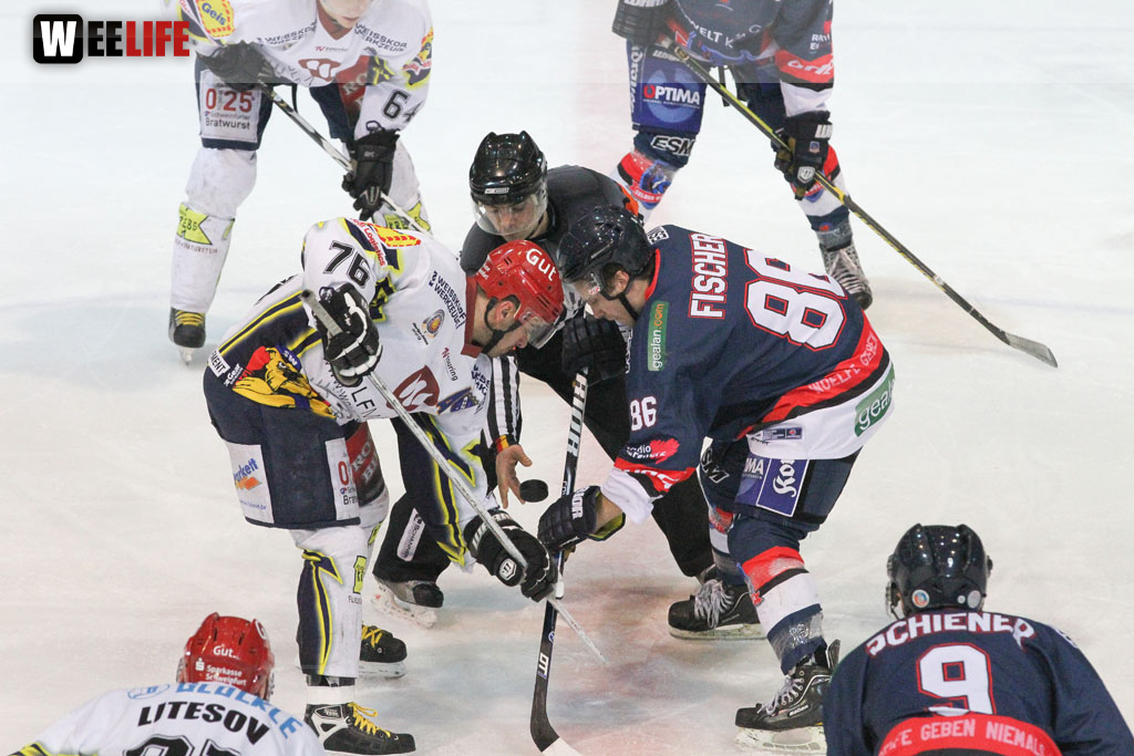 Selber Wölfe - Schweinfurt Mighty Dogs