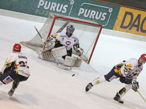 Selber Wölfe - Schweinfurt Mighty Dogs – Foto 273