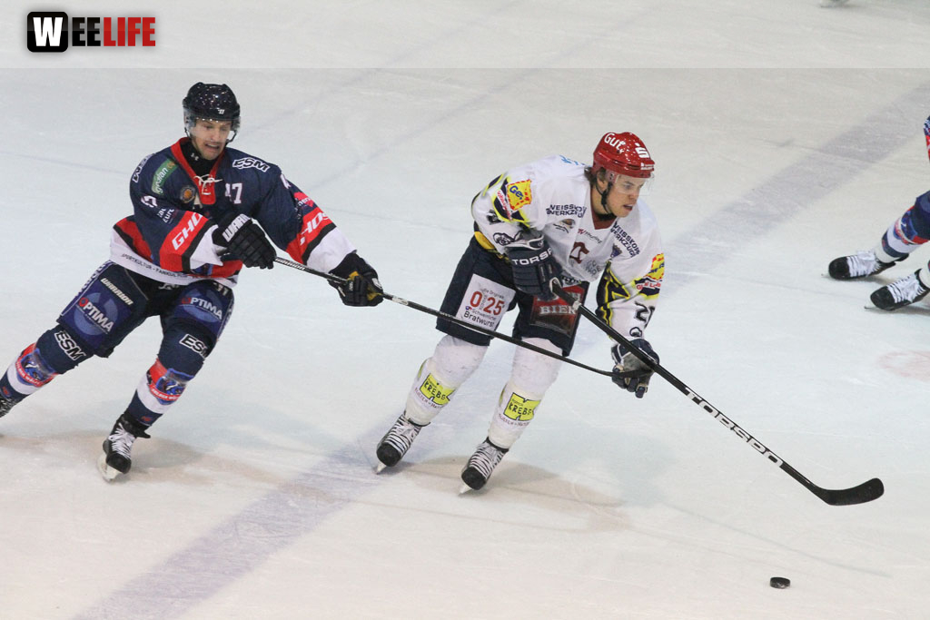 Selber Wölfe - Schweinfurt Mighty Dogs