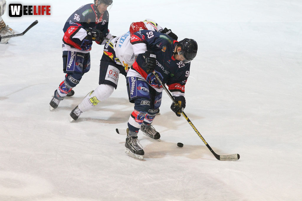 Selber Wölfe - Schweinfurt Mighty Dogs