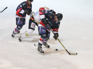 Foto 45869 im Album